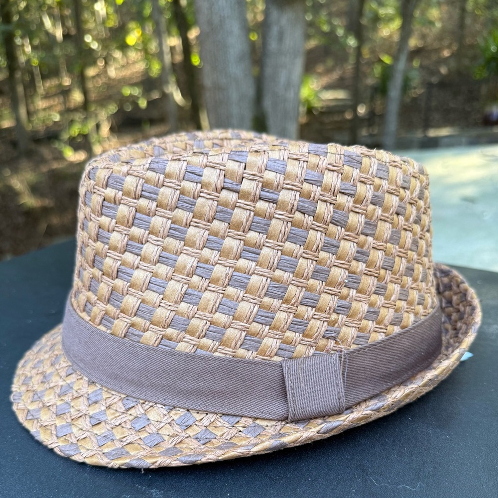 Daniel Cremieux Tan and Brown Hat